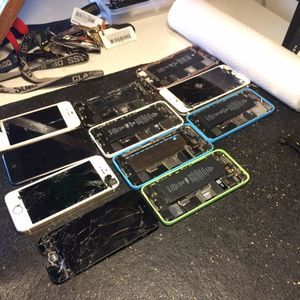 Meet your Posher, Max